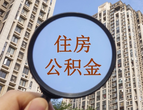 邵阳县退休后查不到公积金明细了吗（退休后公积金查询不到原因）